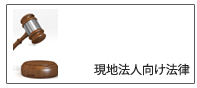 現地法人向け法律